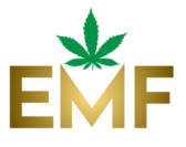 EMF Logo - No Wording PNG - Transparent